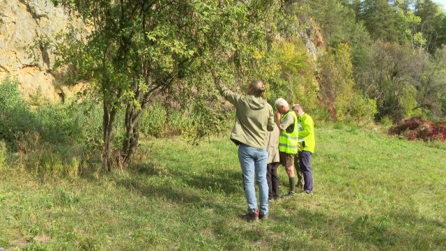 Naturschutzbund: Einsatz f�r wertvolle Lebensr�ume